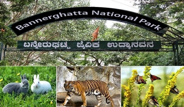 Bannerghatta Park